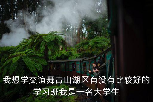 我想学交谊舞青山湖区有没有比较好的学习班我是一名大学生