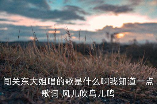 闯关东大姐唱的歌是什么啊我知道一点歌词 风儿吹鸟儿鸣