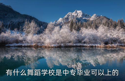 有什么舞蹈学校是中专毕业可以上的