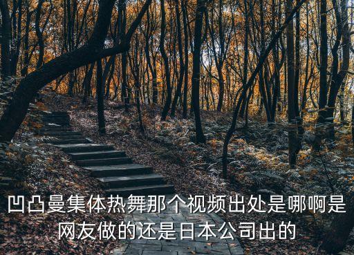 凹凸曼集体热舞那个视频出处是哪啊是网友做的还是日本公司出的