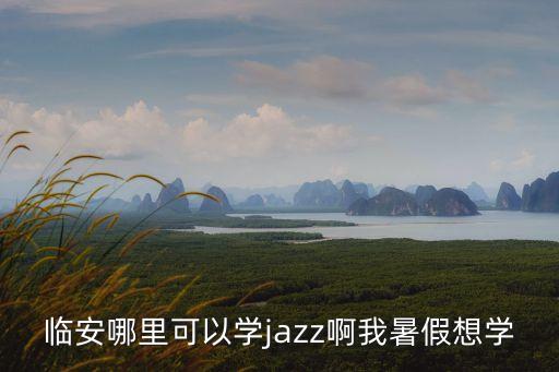 临安哪里可以学jazz啊我暑假想学
