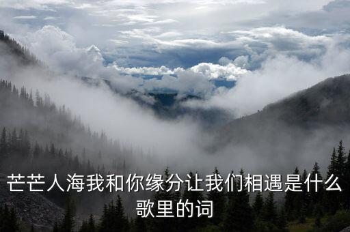 芒芒人海我和你缘分让我们相遇是什么歌里的词