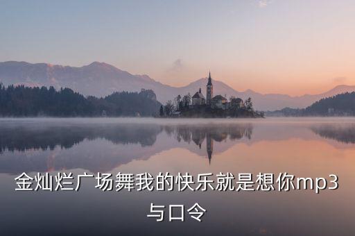 金灿烂广场舞我的快乐就是想你mp3与口令