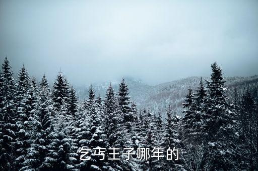 乞丐王子哪年的
