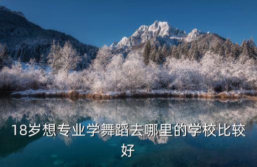 18岁想专业学舞蹈去哪里的学校比较好