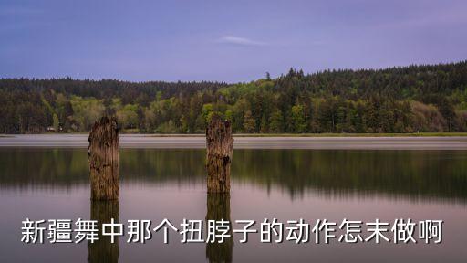 新疆舞中那个扭脖子的动作怎末做啊