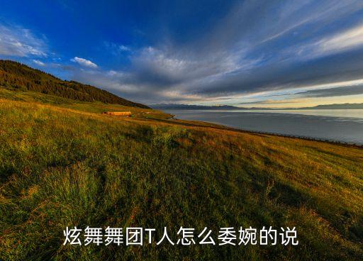 炫舞舞团T人怎么委婉的说