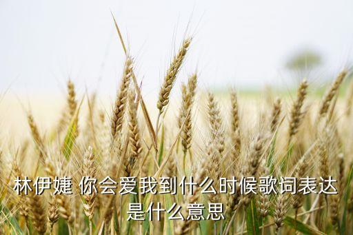 林伊婕 你会爱我到什么时候歌词表达是什么意思