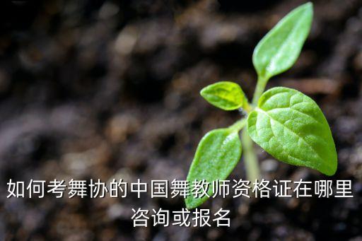 舞蹈教师资格证报名入口官网湛江，舞蹈教师资格怎么报考都考什么内容 有什么要求 有什么可以学习