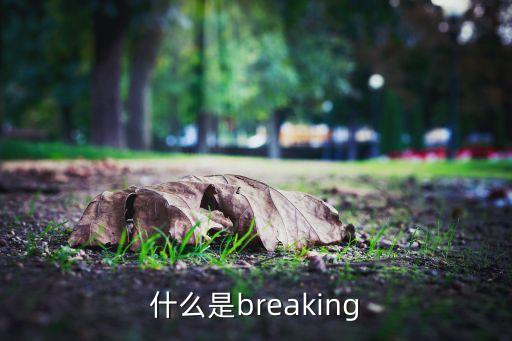 breaking什么舞，breaking 是属于那个舞种