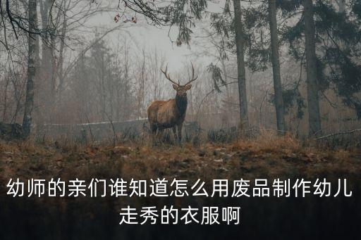幼师的亲们谁知道怎么用废品制作幼儿走秀的衣服啊