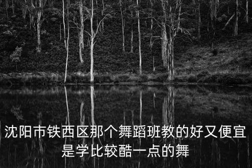 沈阳市铁西区那个舞蹈班教的好又便宜是学比较酷一点的舞