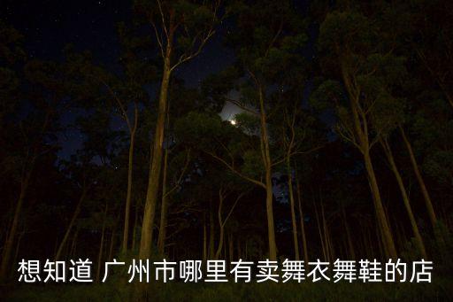 想知道 广州市哪里有卖舞衣舞鞋的店