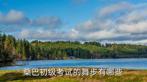 桑巴舞入门动作，桑巴初级考试的舞步有哪些