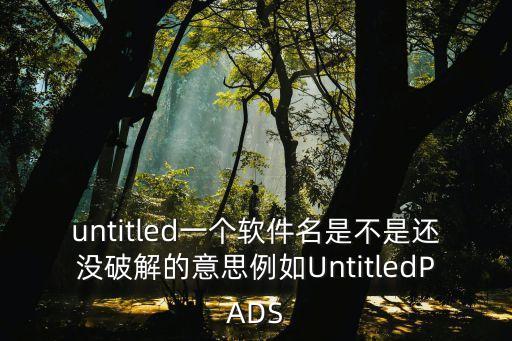 以闪亮之名有没有破解版，untitled一个软件名是不是还没破解的意思例如UntitledPADS