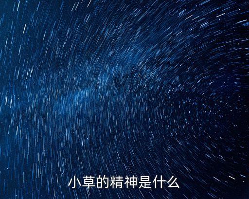小草的精神是什么
