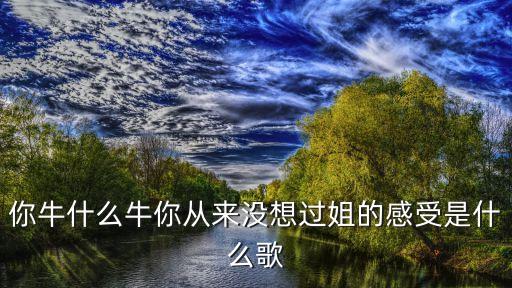你有什么牛你牛什么作用是什么意思，你牛你牛是什么意思
