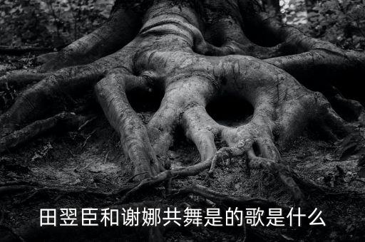 情侣舞歌名是什么歌，田翌臣和谢娜共舞是的歌是什么