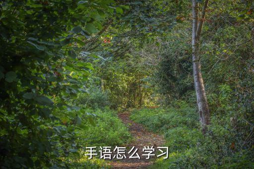 手语怎么学习