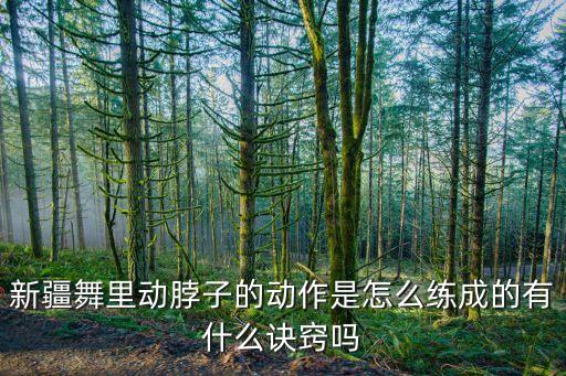 新疆舞里动脖子的动作是怎么练成的有什么诀窍吗
