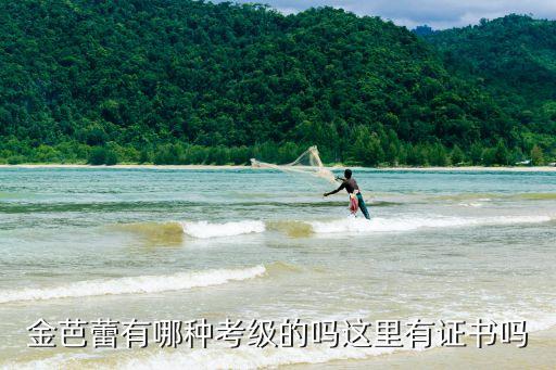 芭蕾怎么考级证书，芭蕾舞怎么考级