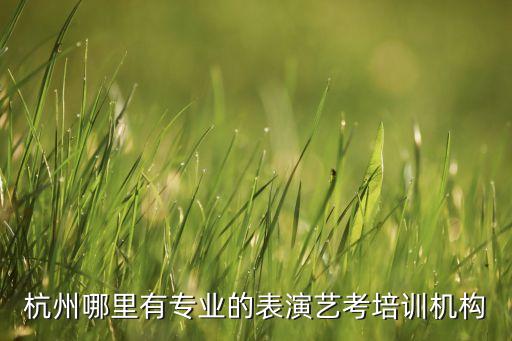 杭州哪里有专业的表演艺考培训机构