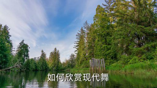 如何舞蹈赏析，舞蹈怎么鉴赏