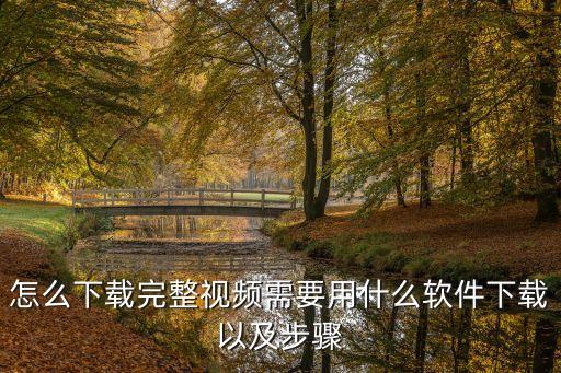 怎么下载完整视频需要用什么软件下载以及步骤