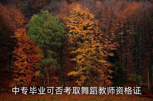 中专毕业可否考取舞蹈教师资格证