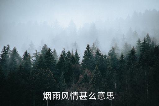 烟雨风情甚么意思