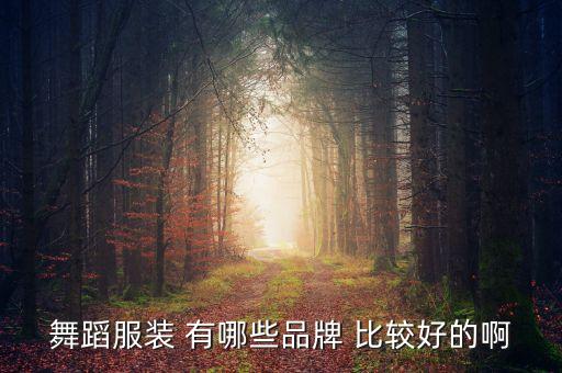 广场舞运动套装女装，舞蹈服装 有哪些品牌 比较好的啊