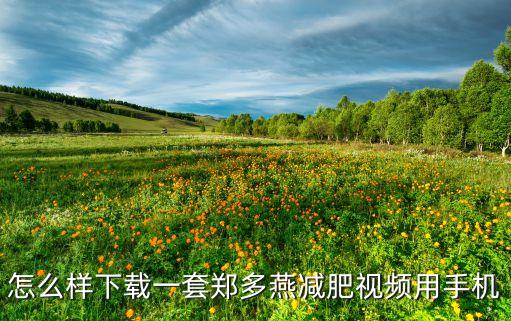 怎么样下载一套郑多燕减肥视频用手机