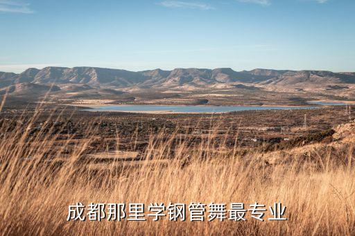 成都哪里学钢管舞好，我同学想去成都学习钢管舞请问哪家舞蹈工作室教的好