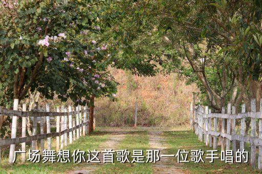 想啊广场舞歌名是什么，广场舞想你这首歌是那一位歌手唱的