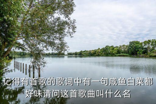 记得有首歌的歌词中有一句咸鱼白菜都好味请问这首歌曲叫什么名