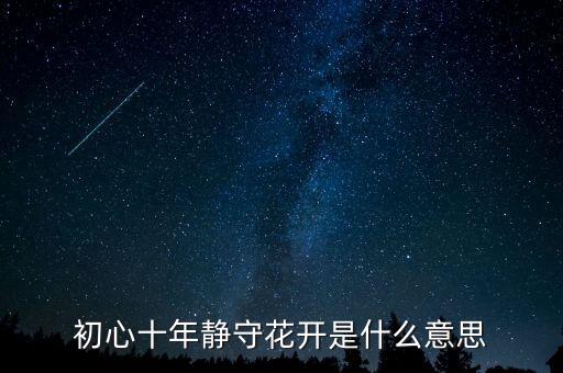 静默花开的下句是什么意思，初心十年静守花开是什么意思