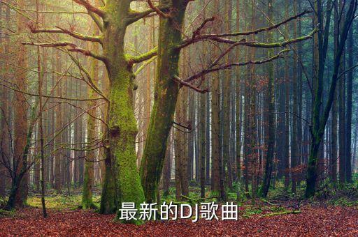 最新的DJ歌曲