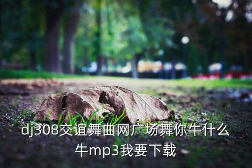 dj308交谊舞曲网广场舞你牛什么牛mp3我要下载