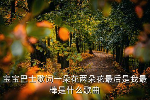宝宝巴士歌词一朵花两朵花最后是我最棒是什么歌曲