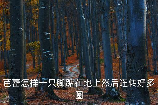 芭蕾划圈组合怎么教，芭蕾把上划圈组合要领是什么谢谢急用