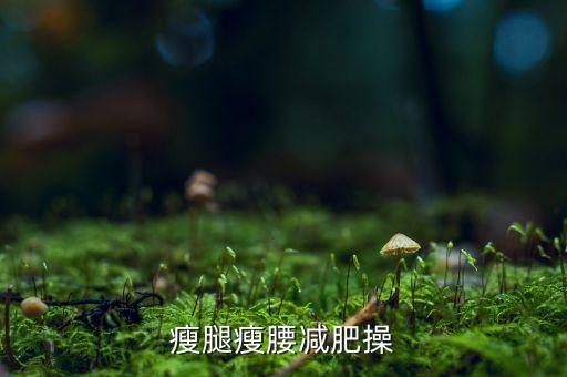 瘦腿瘦腰减肥操