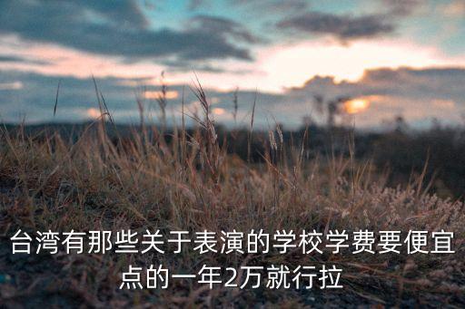 台湾舞蹈学有哪些学校，台湾有没有舞蹈系
