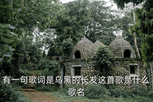 有一句歌词是乌黑的长发这首歌是什么歌名