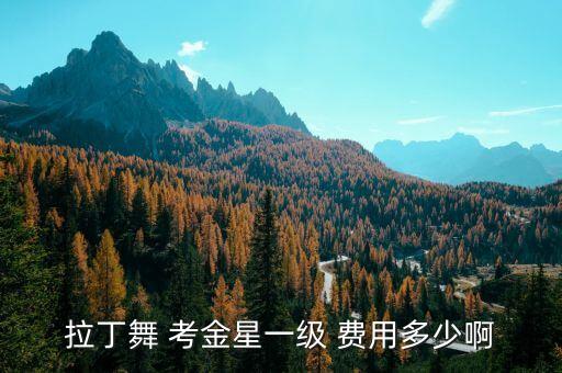 拉丁舞 考金星一级 费用多少啊