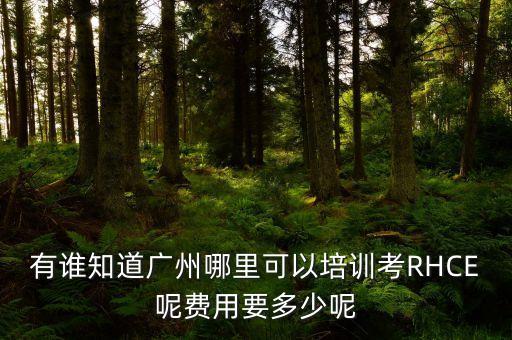 广州史莱克舞蹈艺考价格，有谁知道广州哪里可以培训考RHCE呢费用要多少呢