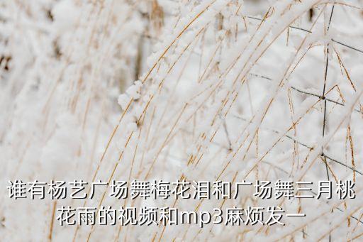 广场舞梅花泪背面分解，谁有杨艺广场舞梅花泪和广场舞三月桃花雨的视频和mp3麻烦发一