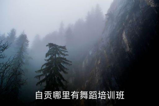 自贡哪里有舞蹈培训班