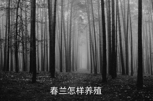 春兰怎样养殖