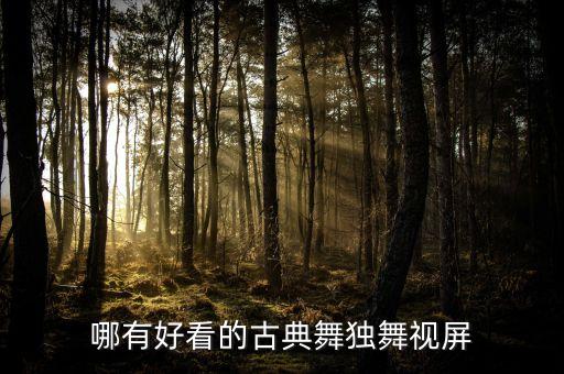 哪有好看的古典舞独舞视屏