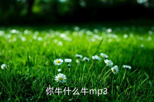 你牛什么牛云裳广场舞mp3下载，你牛什么牛mp3